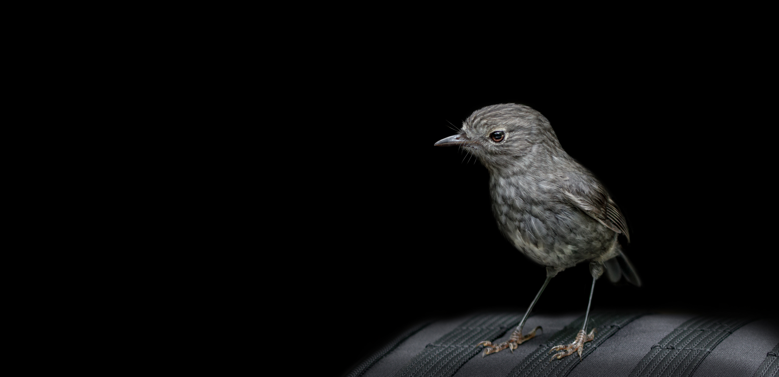 Birds eye view – photo exhibition