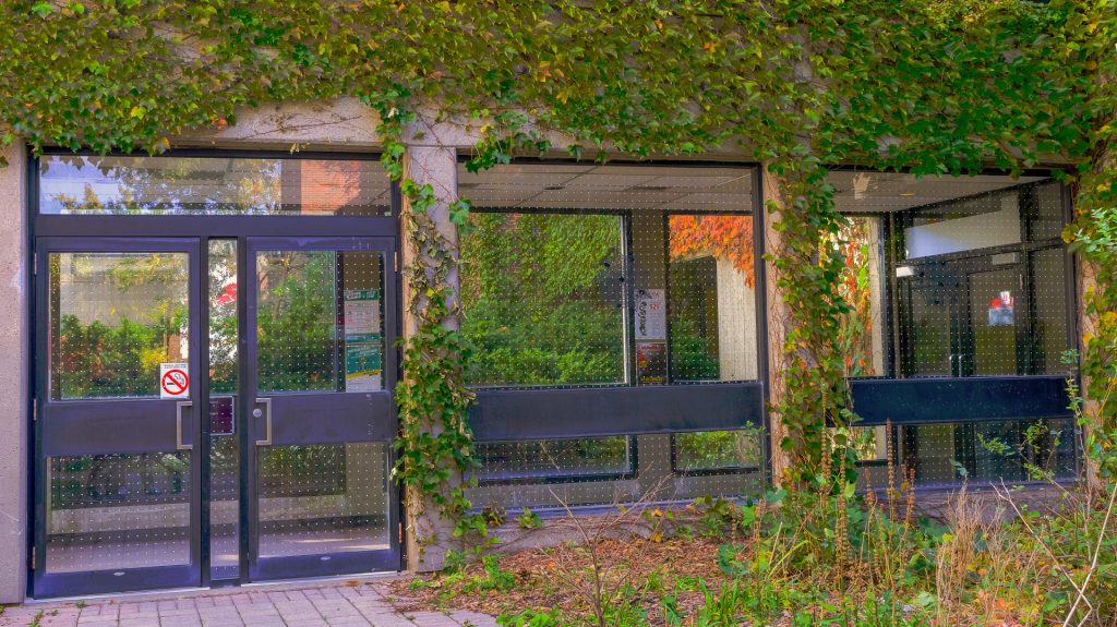 Feather Friendly® DIY Window Markers (Residential) Kererū Discovery